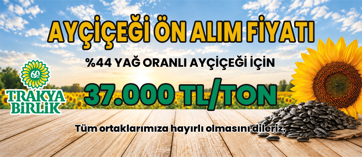 Trakya Birlik, ayçiçeği alım fiyatını açıkladı