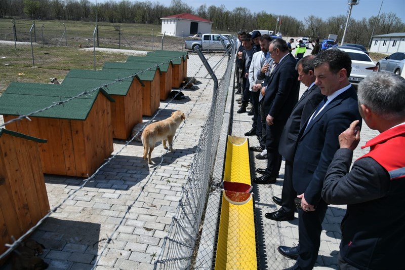 Vali Soytürk Kapaklı’da Hayvan Bakımevi ve Doğal Yaşam Alanı’nı Ziyaret Etti